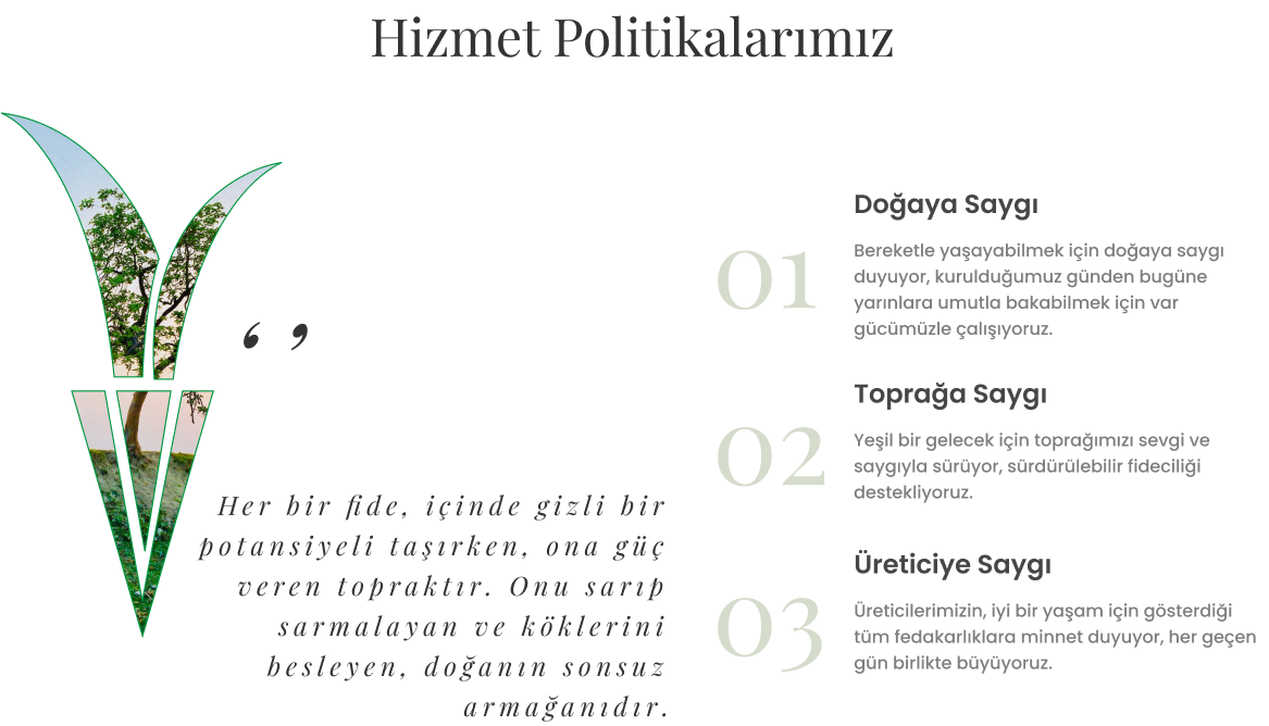 main-service